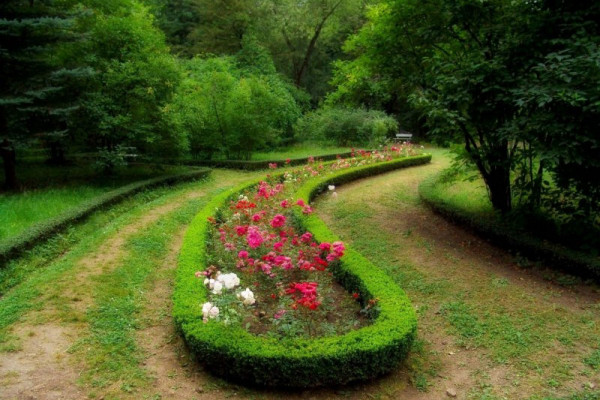 Private tour to Saghmosavank, Lori Fortress, Dendropark